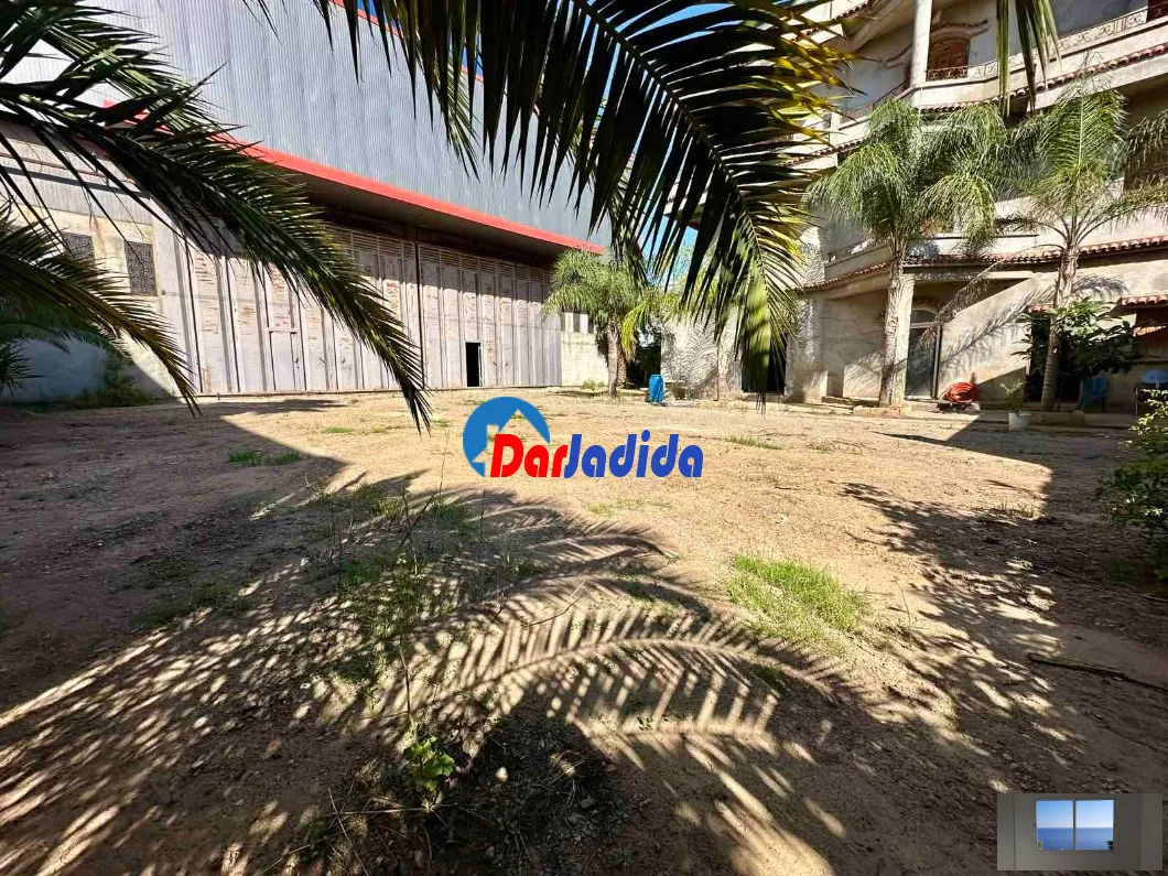 Location Hangar Blida