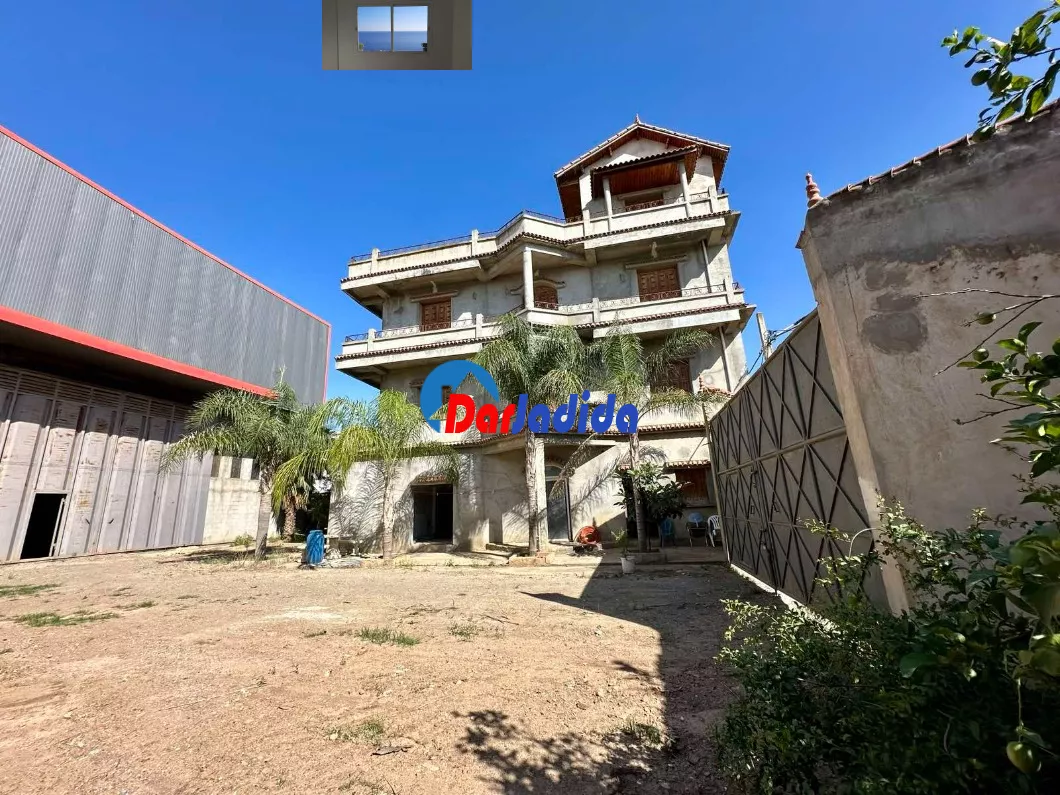 Location Hangar Blida