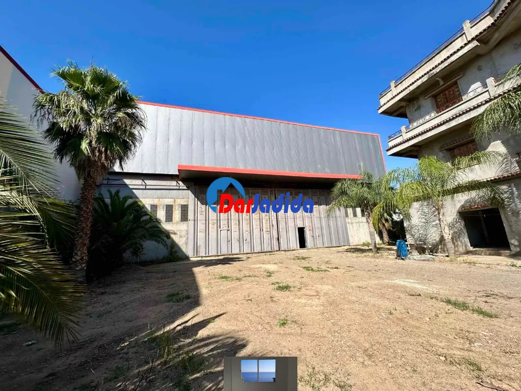 Location Hangar Blida