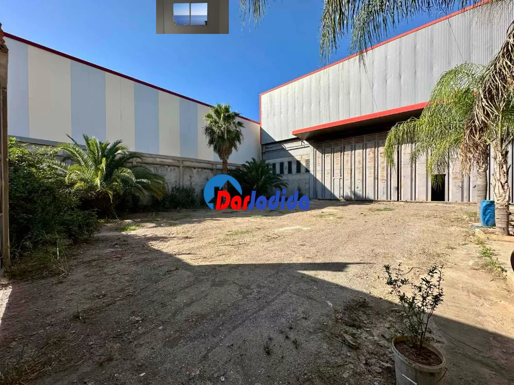 Location Hangar Blida