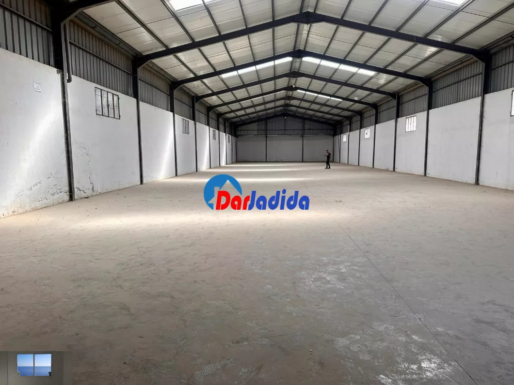 Location Hangar Blida