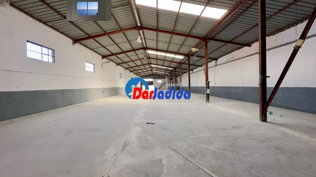 Location Hangar Blida