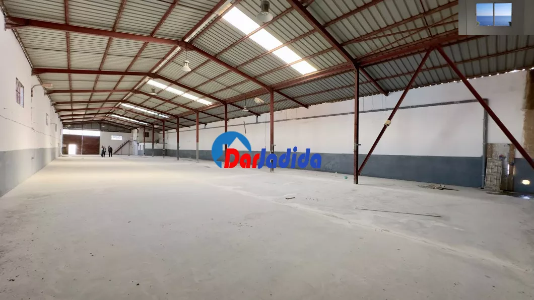 Location Hangar Blida