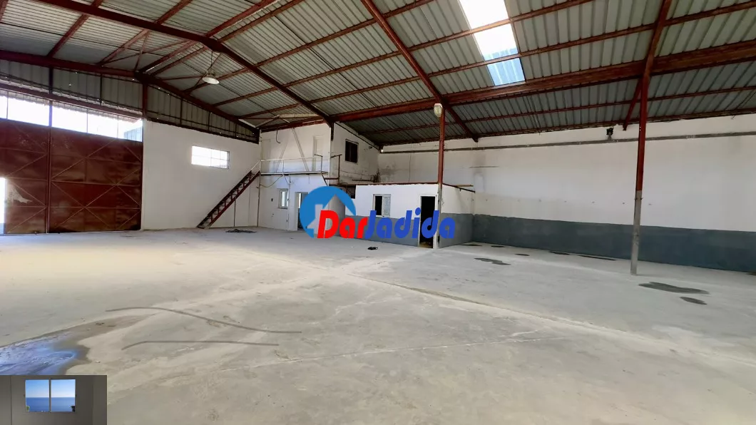 Location Hangar Blida