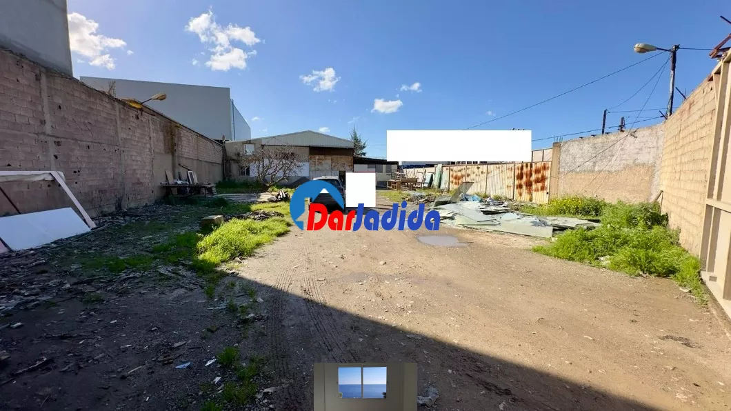 Location Hangar Blida