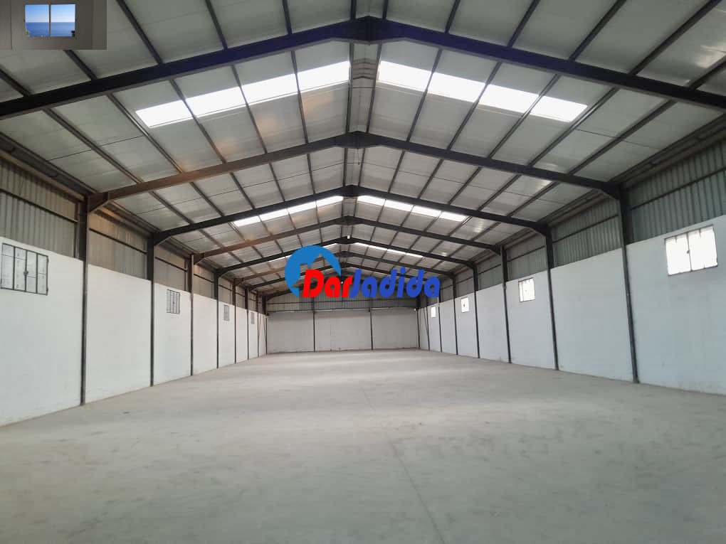 Location Hangar  Blida