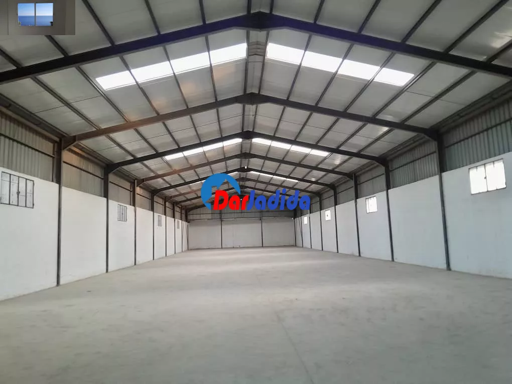 Location Hangar Blida