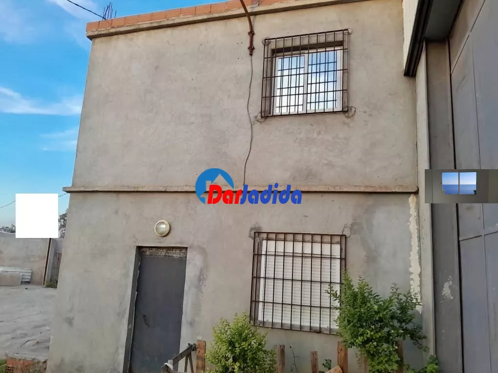 Location Hangar Blida