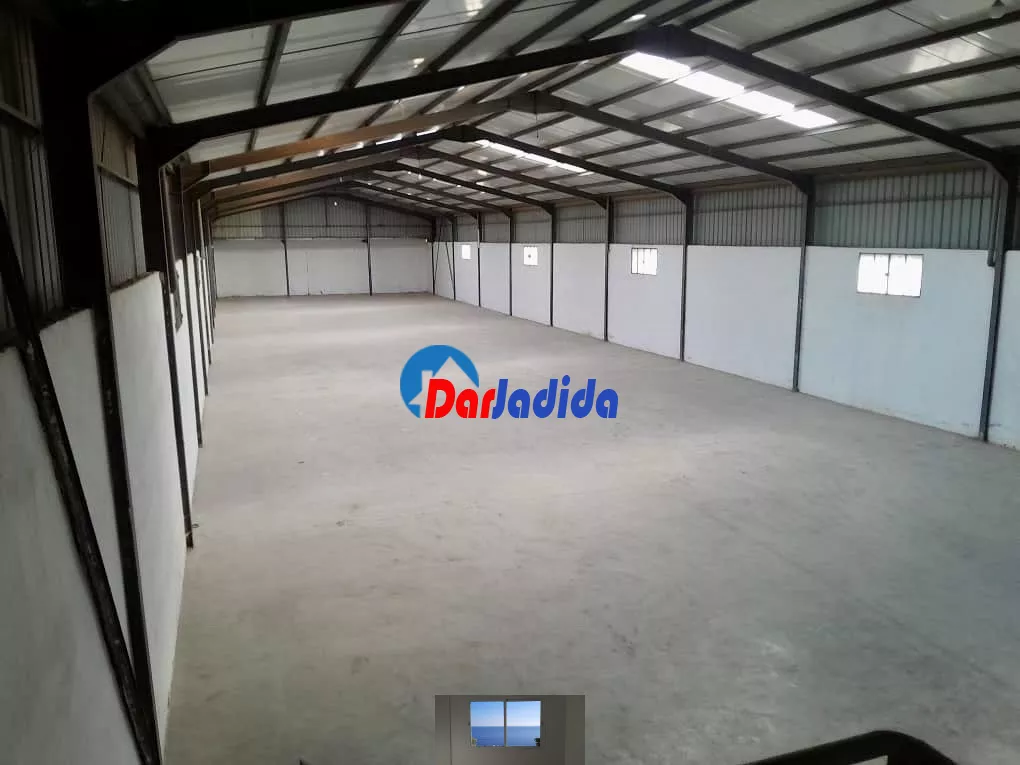 Location Hangar Blida