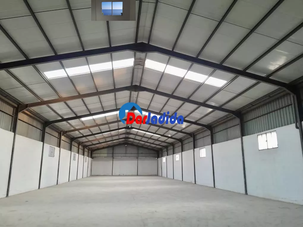 Location Hangar Blida