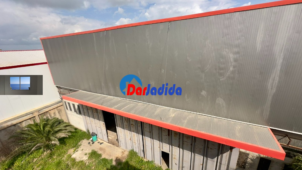 Location Hangar  Blida