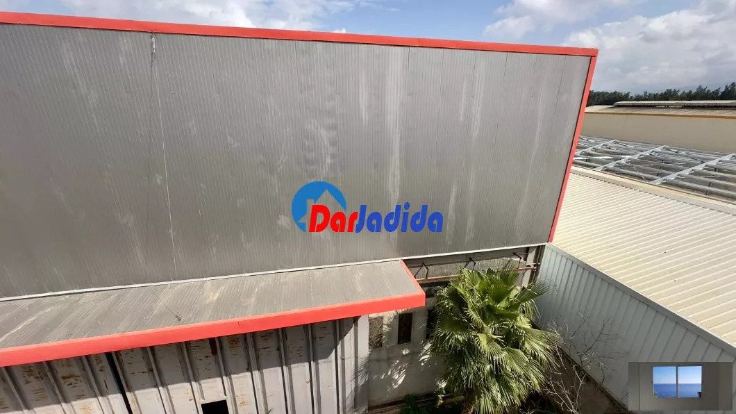 Location Hangar Blida