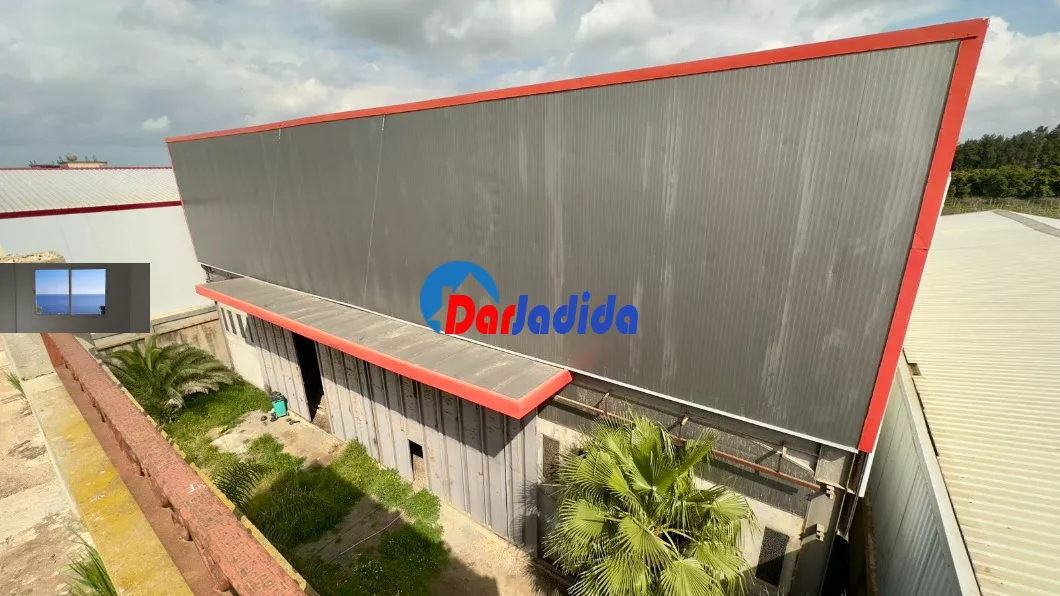 Location Hangar Blida