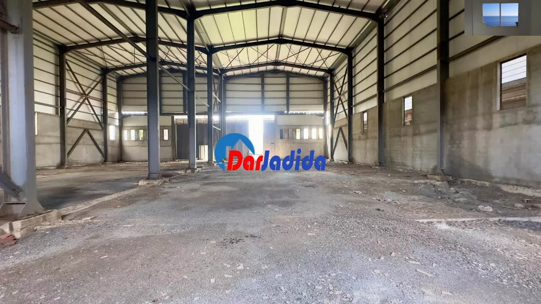 Location Hangar Blida