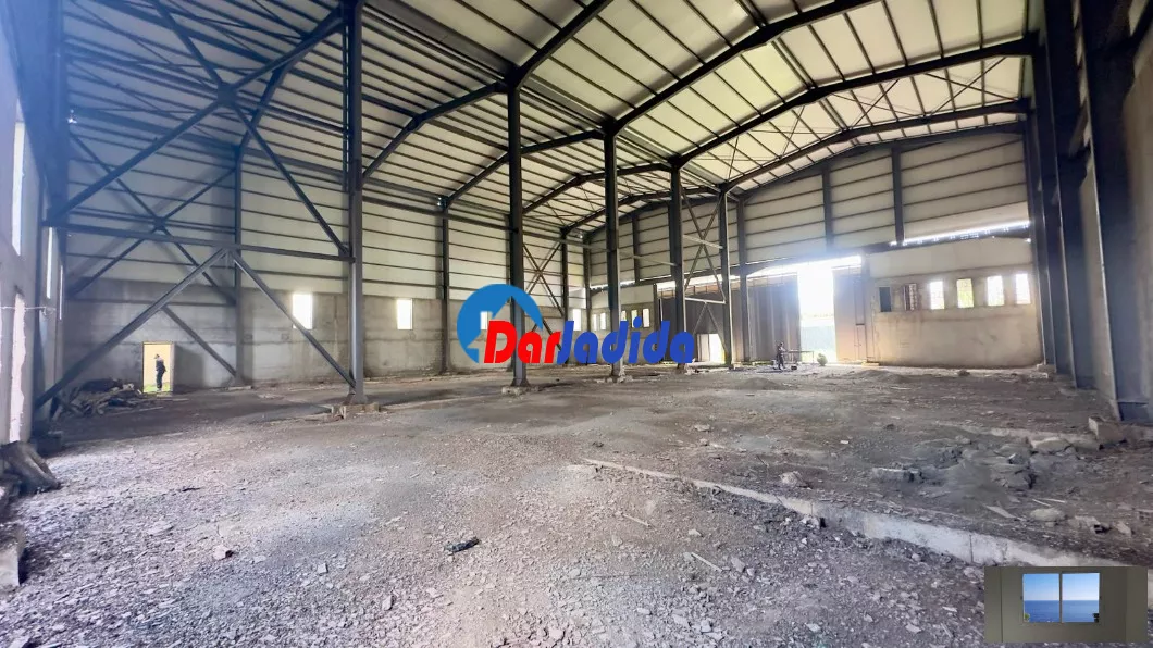 Location Hangar Blida