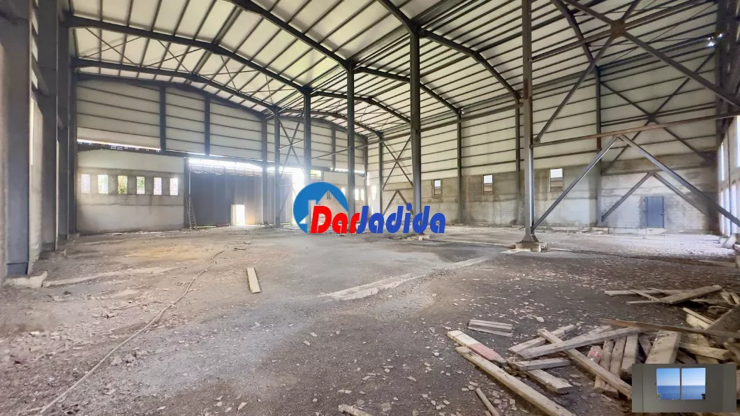 Location Hangar Blida