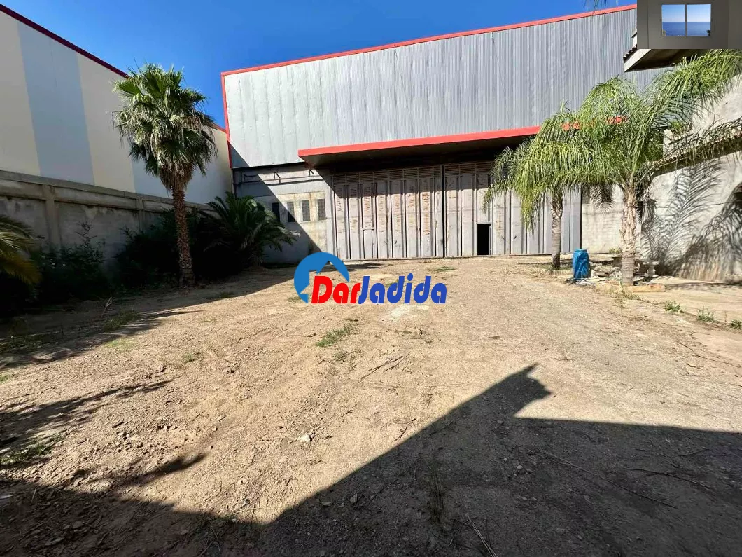 Location Hangar Blida