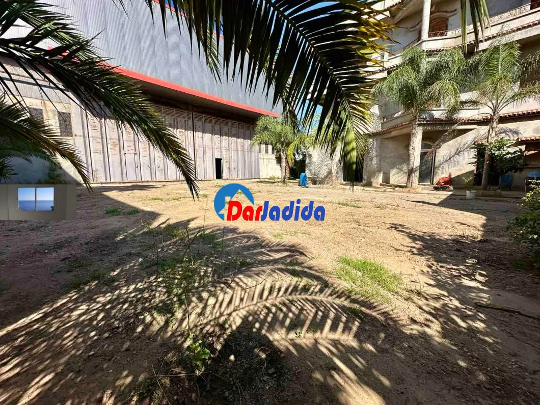 Location Hangar Blida