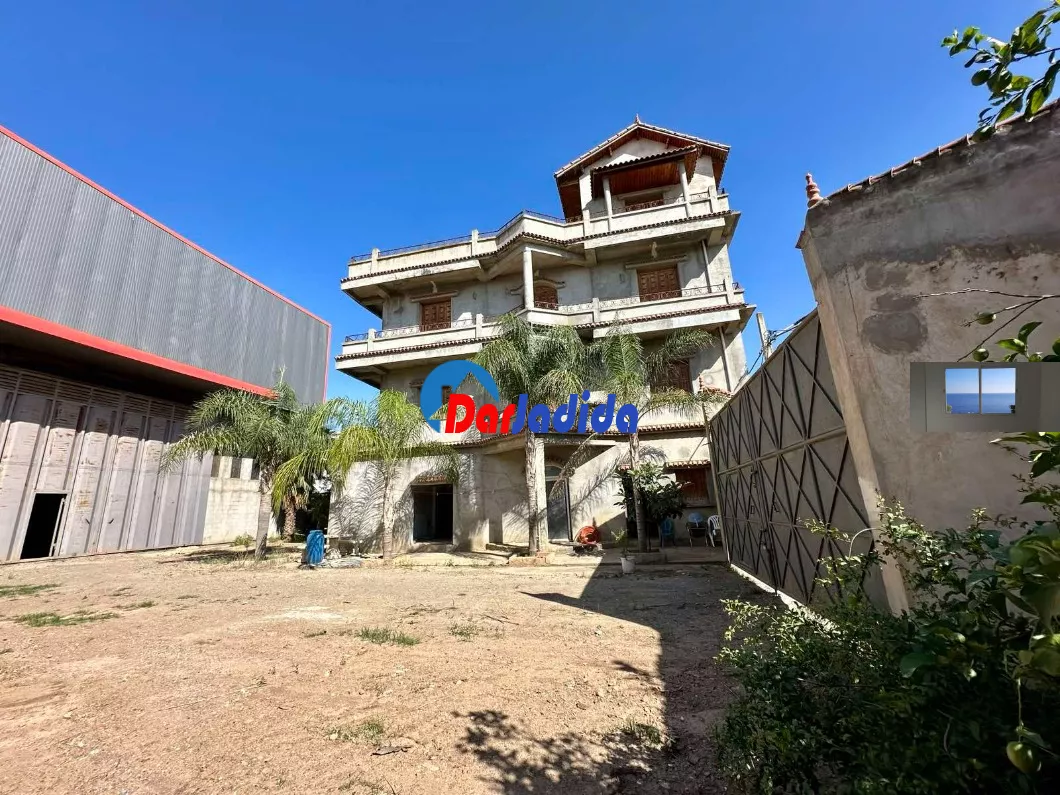 Location Hangar Blida