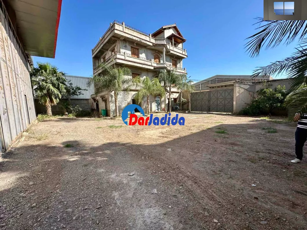 Location Hangar Blida