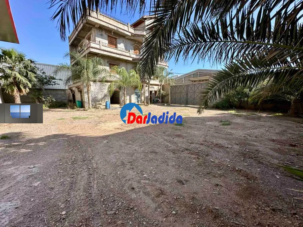 Location Hangar Blida