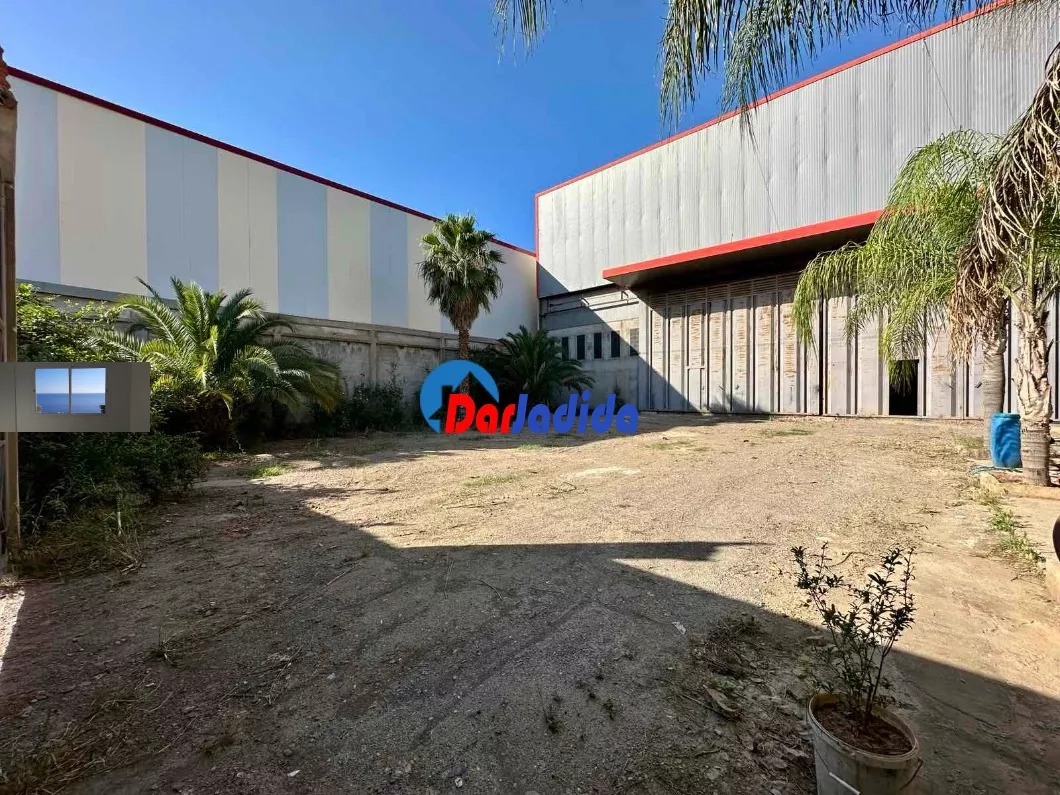 Location Hangar Blida