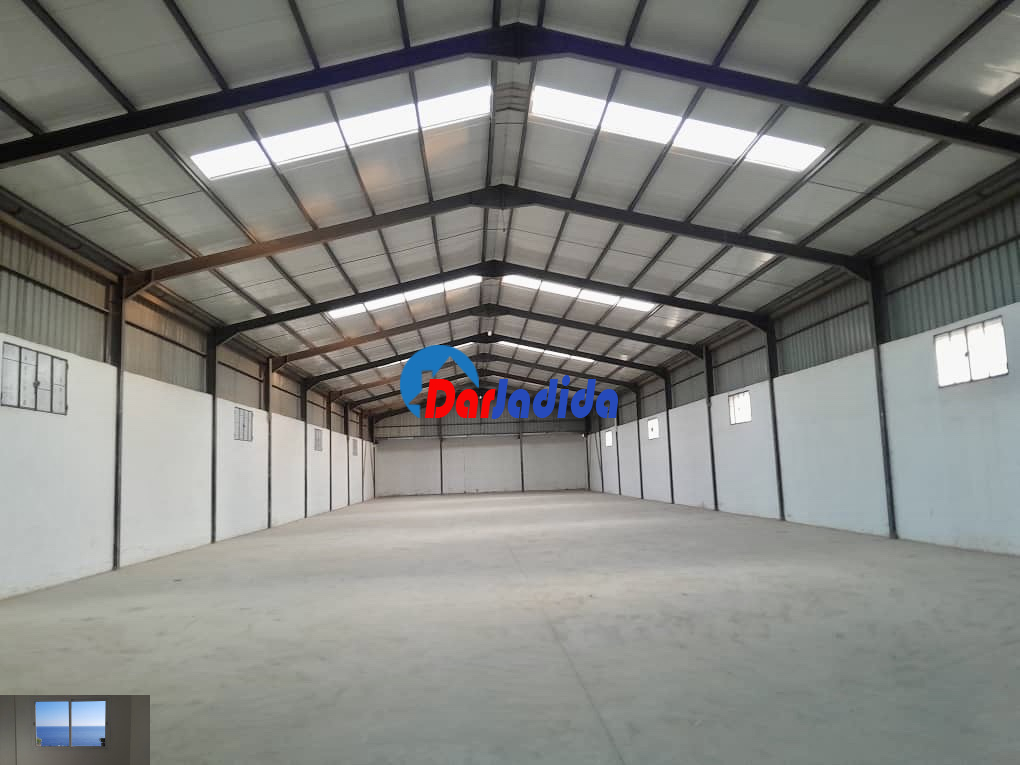 Location Terrain  Blida