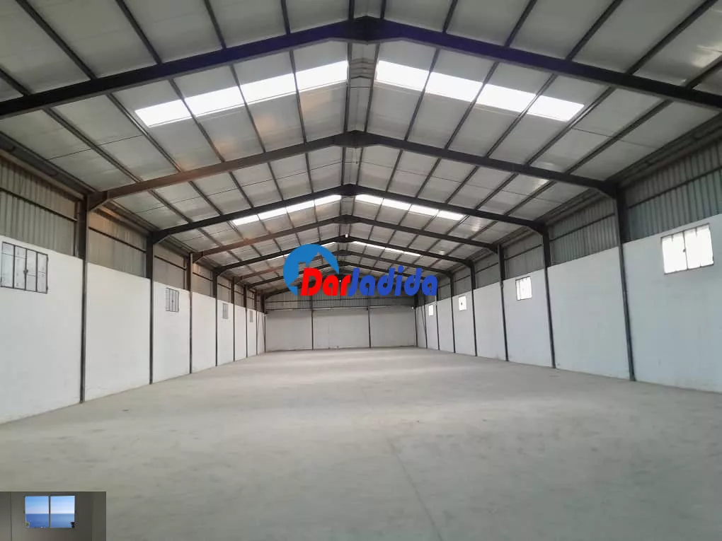 Location Terrain Blida