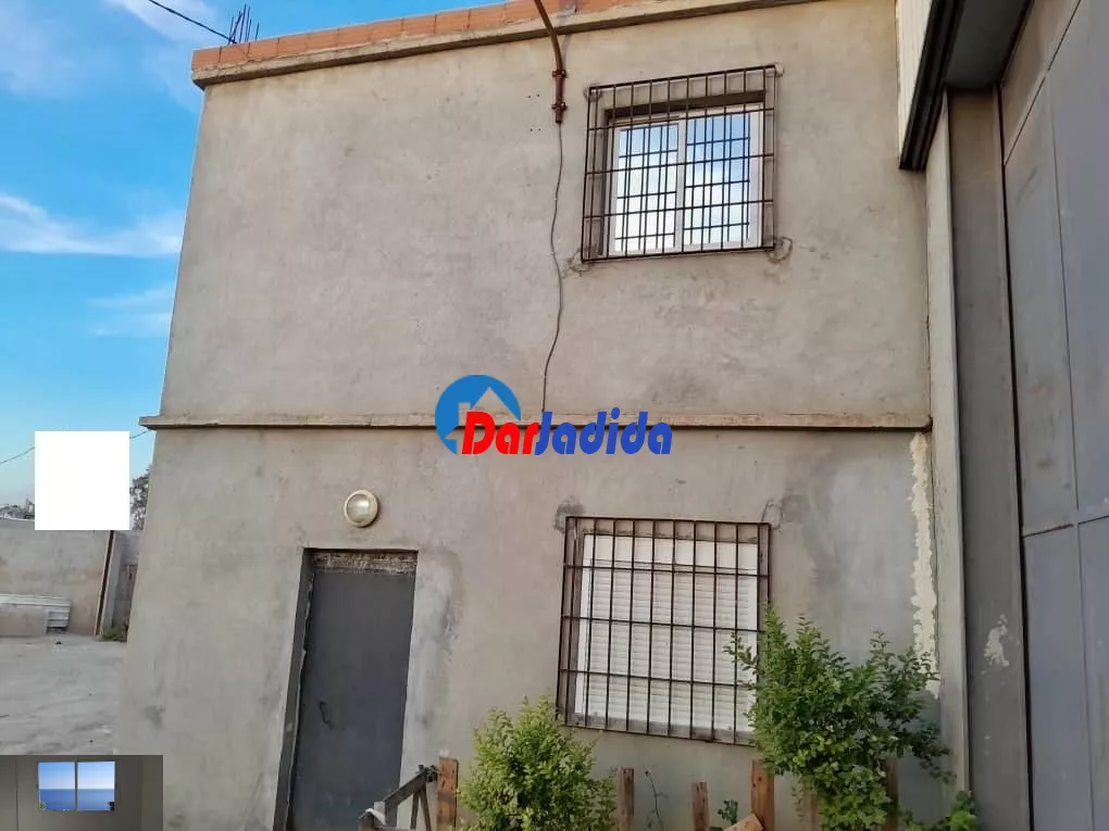 Location Terrain Blida