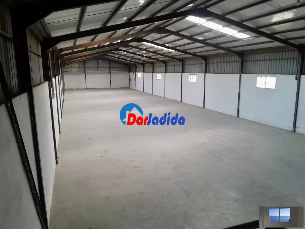 Location Terrain Blida