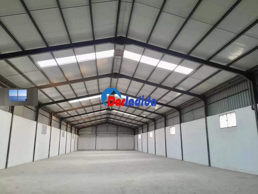 Location Terrain Blida