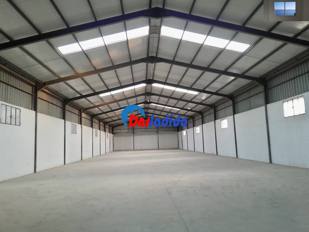 Location Hangar  Blida