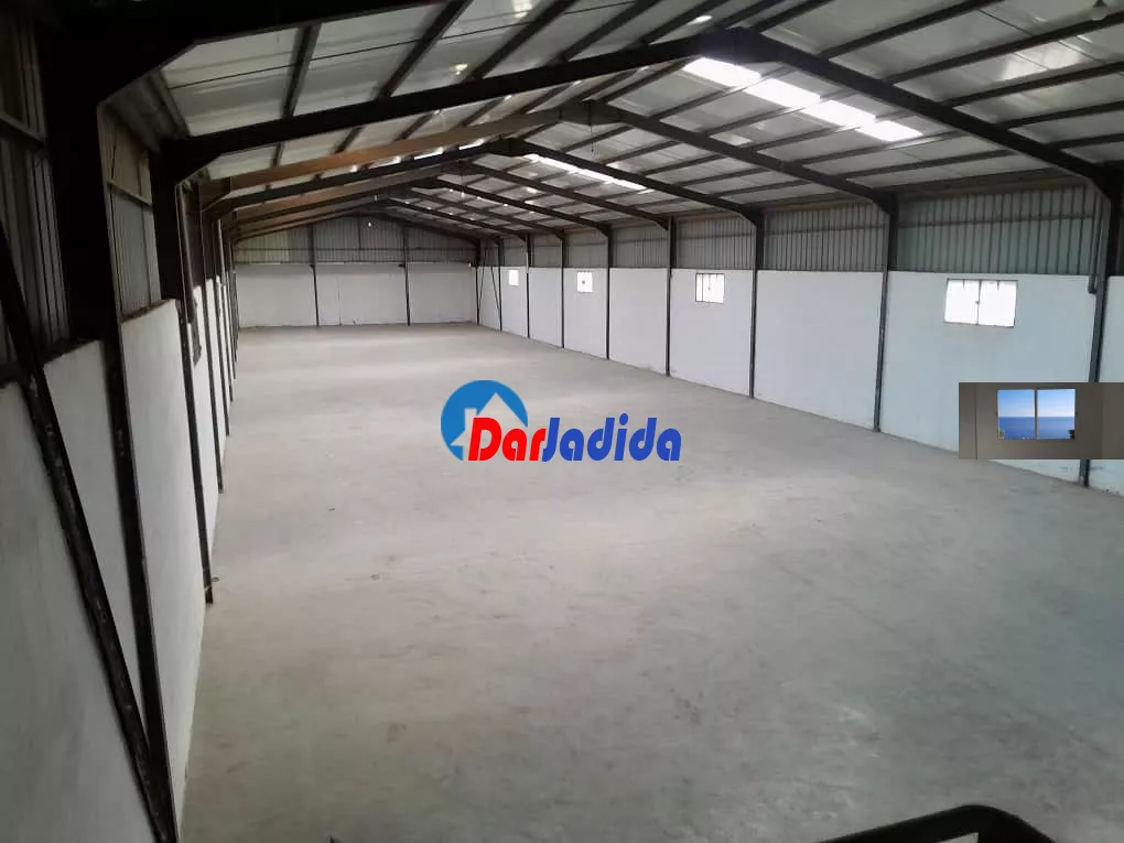 Location Hangar Blida