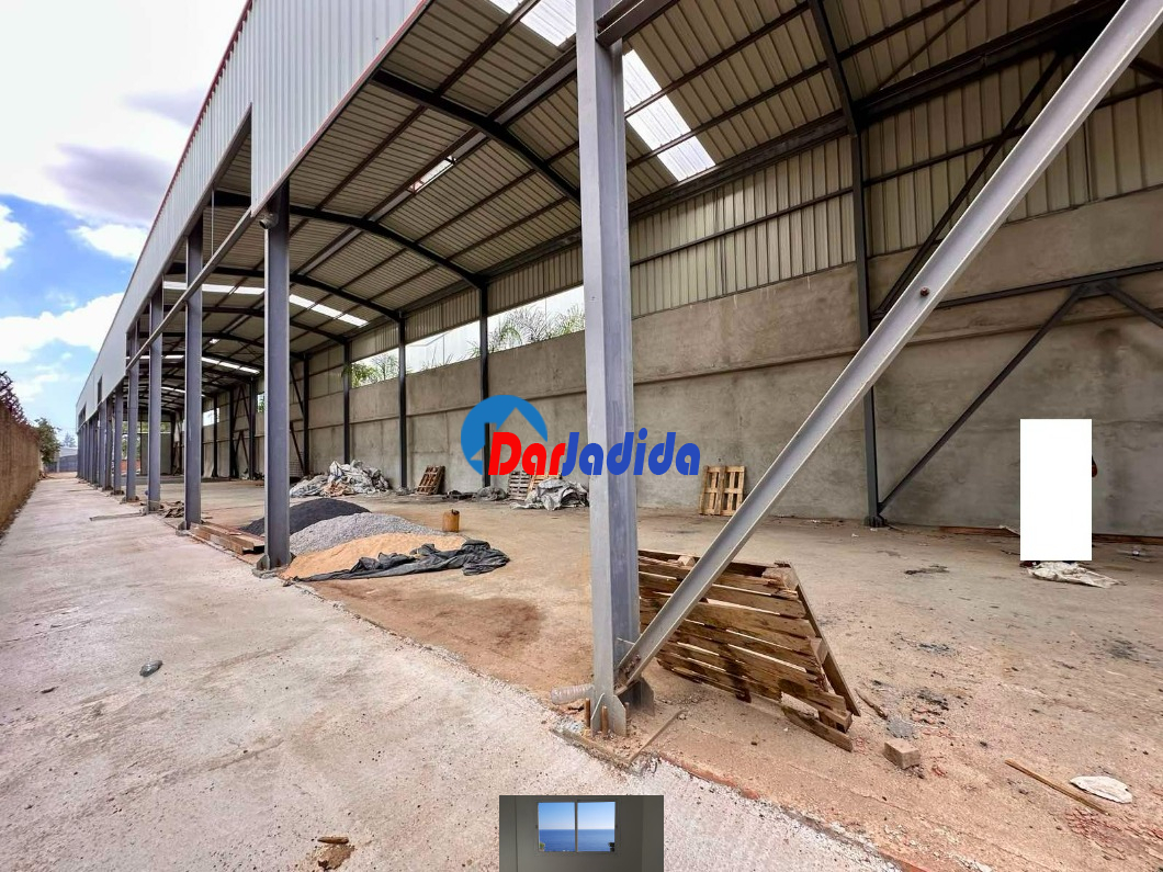 Location Hangar  Blida