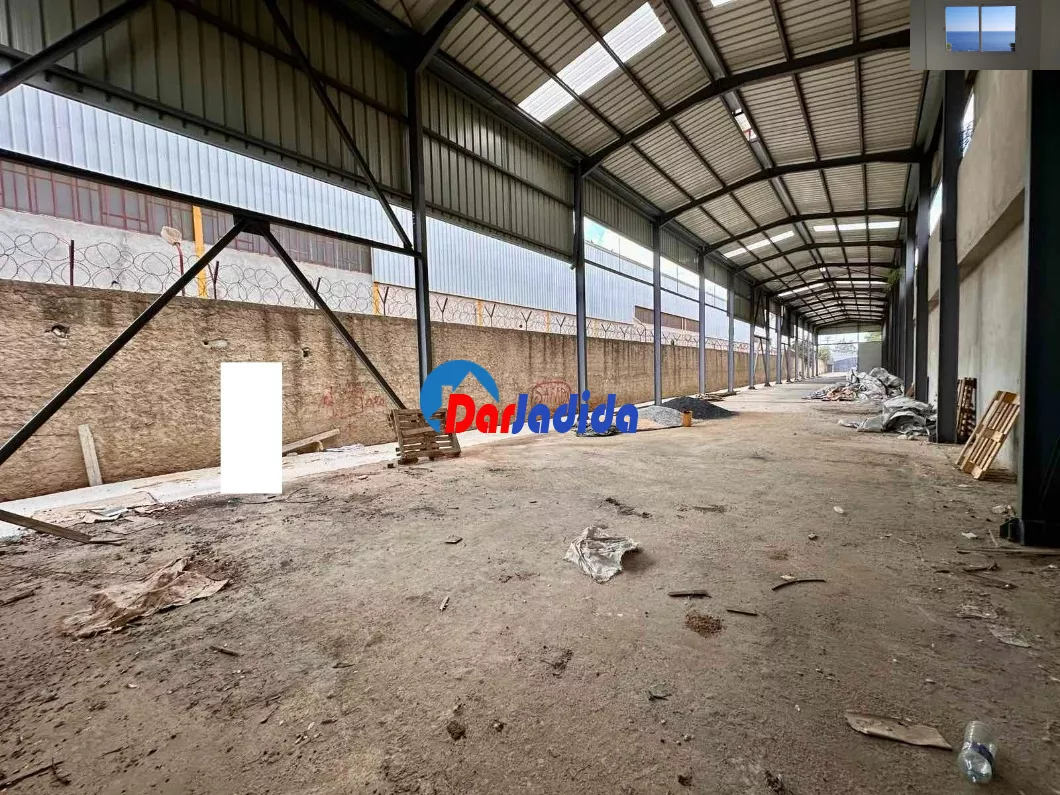 Location Hangar Blida