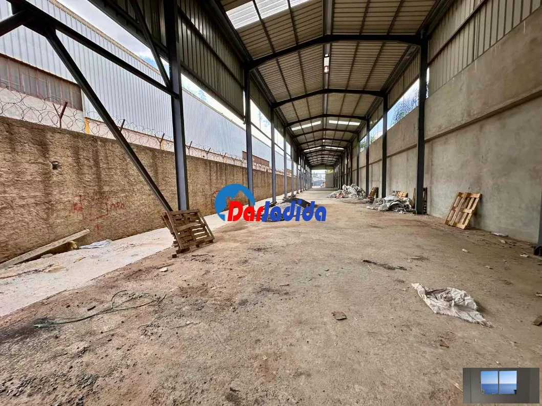 Location Hangar Blida