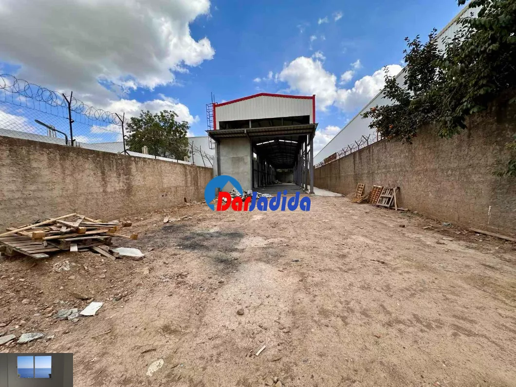 Location Hangar Blida