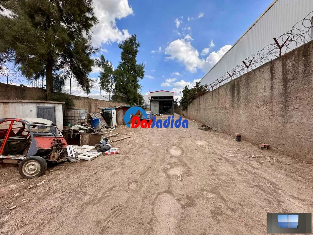 Location Hangar Blida