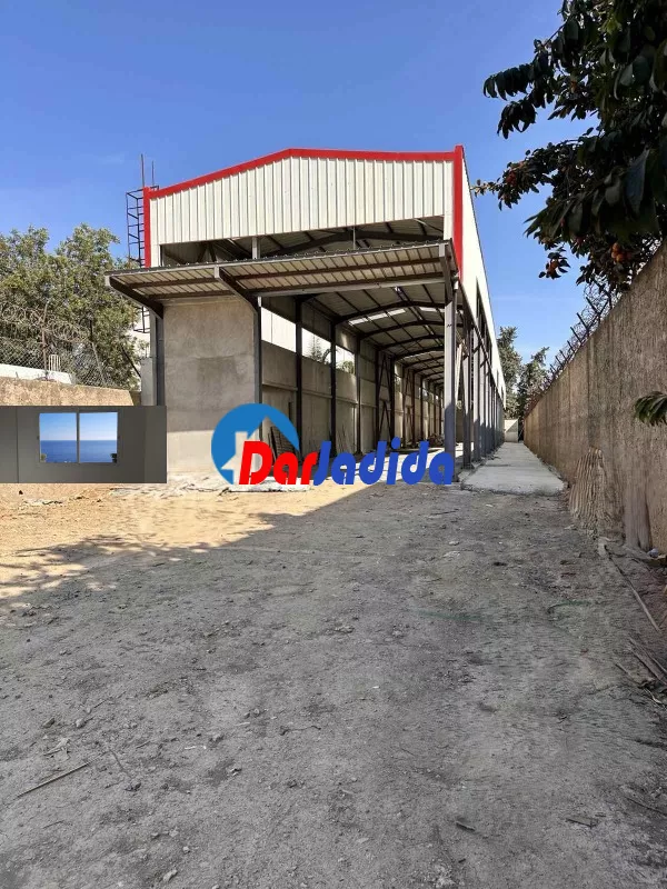 Location Hangar Blida