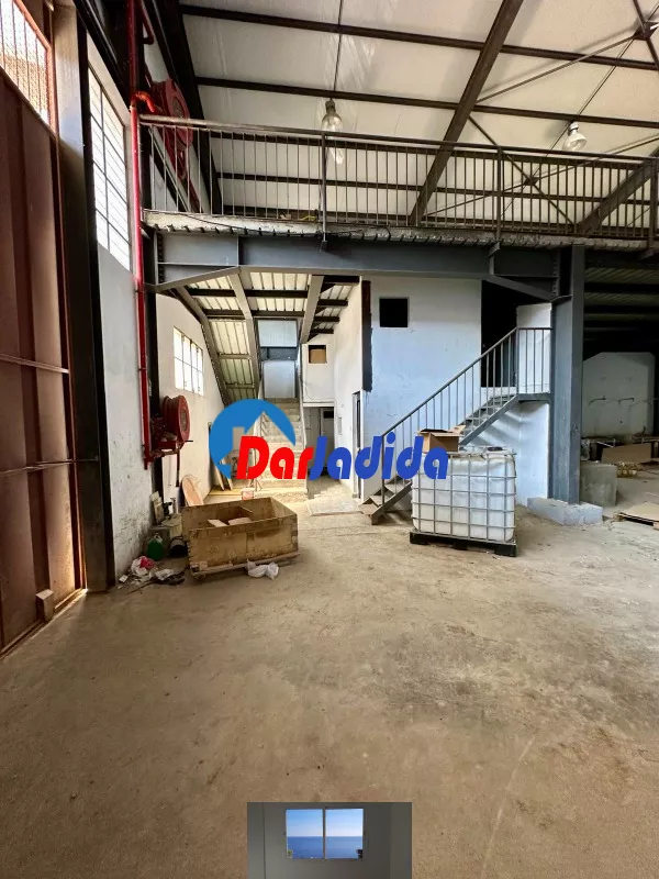 Location Hangar Blida