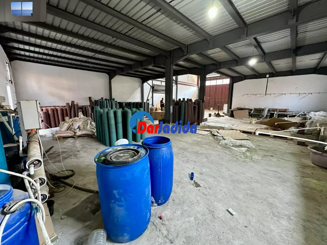 Location Hangar Blida