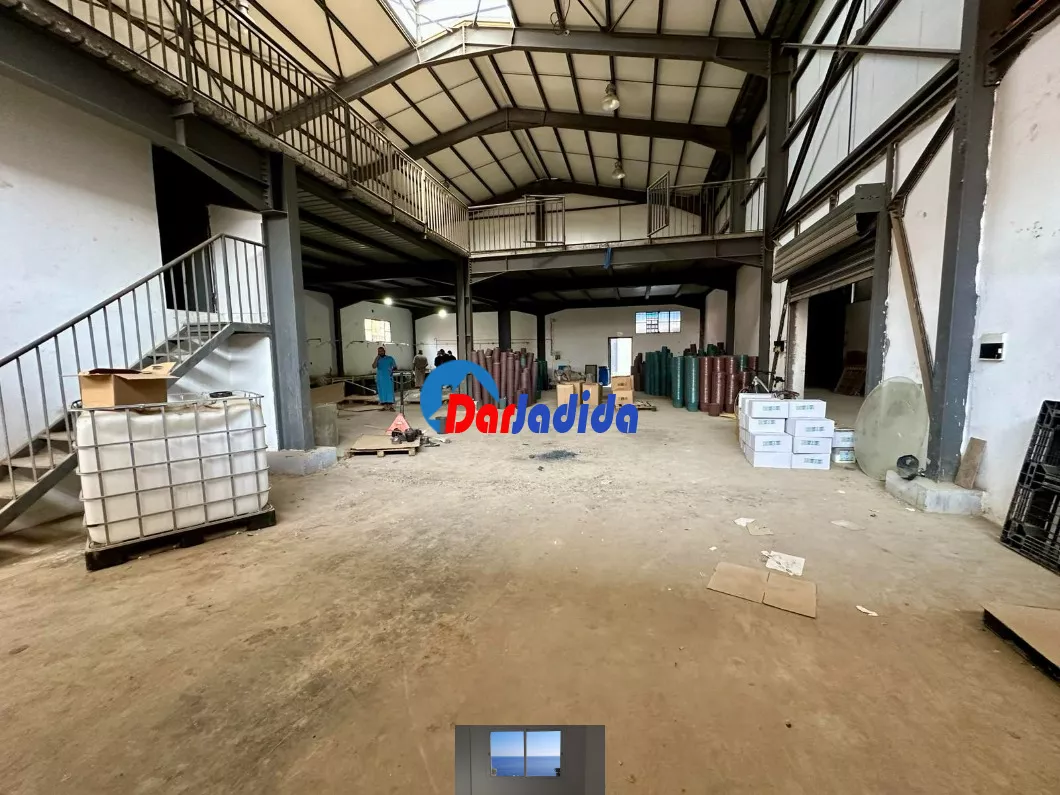 Location Hangar Blida