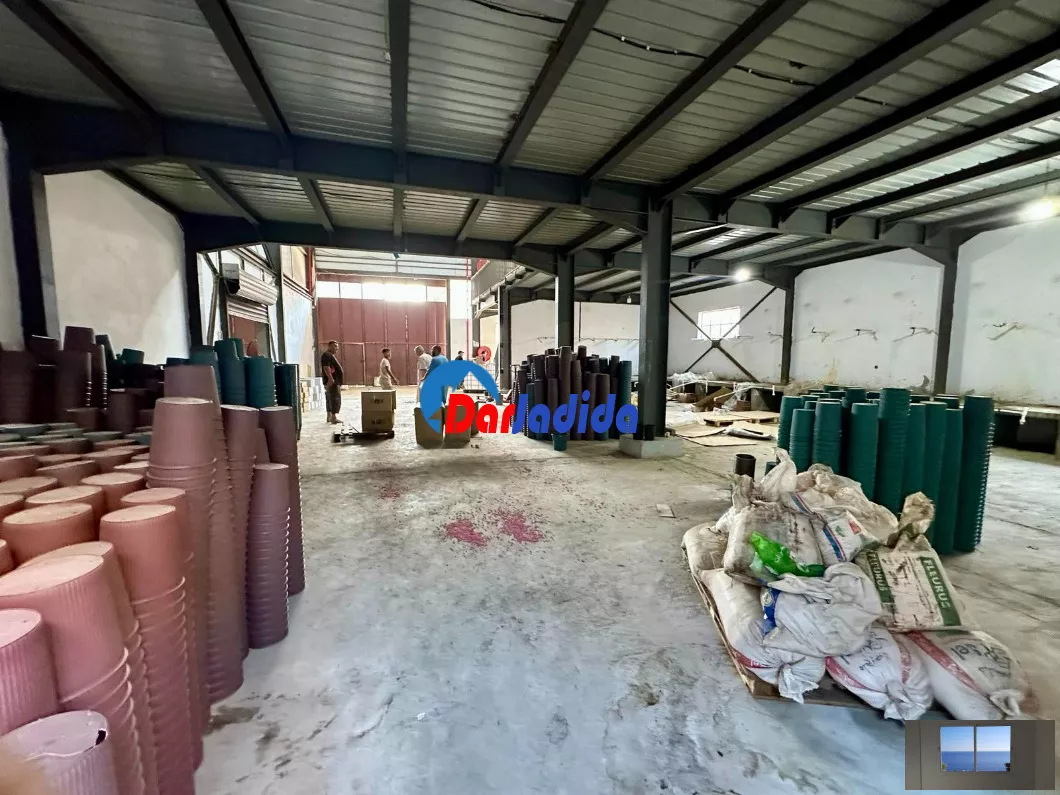 Location Hangar Blida