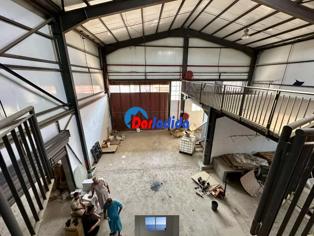 Location Hangar Blida