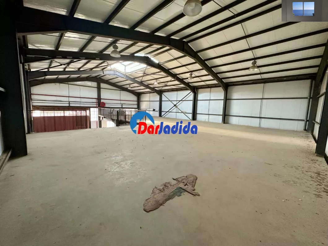 Location Hangar Blida