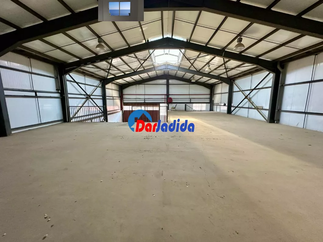 Location Hangar Blida