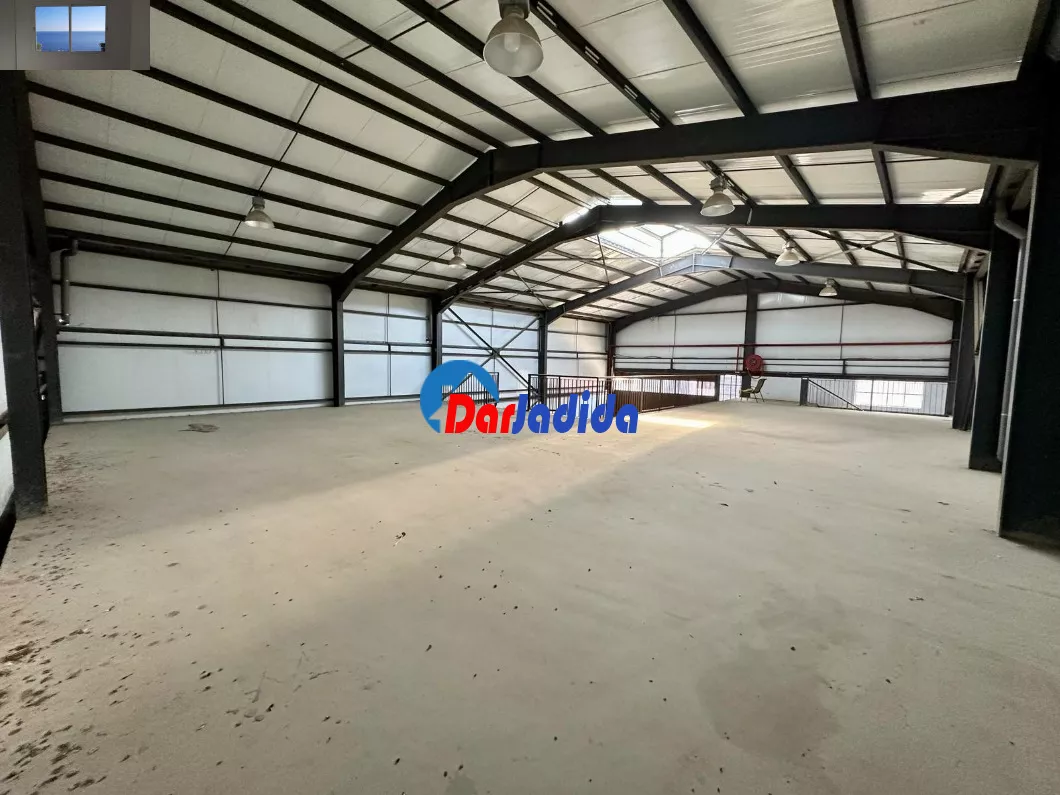 Location Hangar Blida