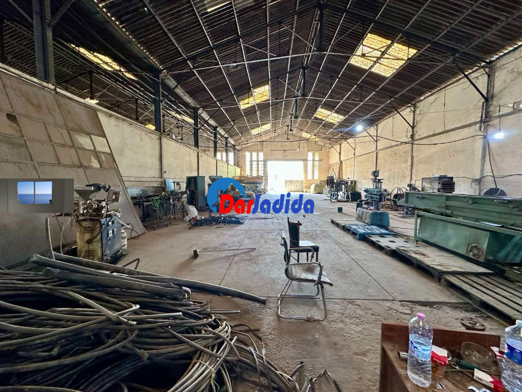 Location Hangar  Blida