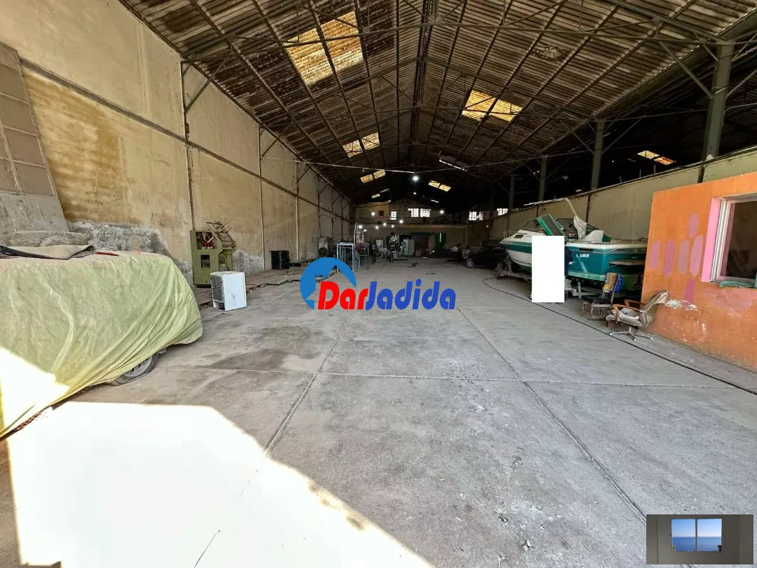 Location Hangar Blida