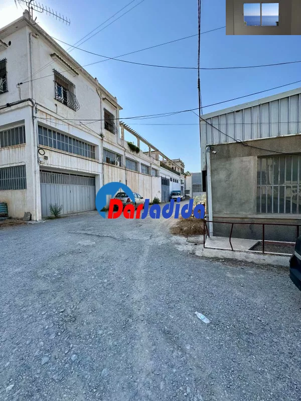 Location Hangar Blida